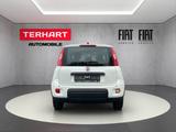 Fiat Panda 1.0 Mild Hybrid/PDC/Start&Stopp/Nebelschei - Fiat Panda: 1.1
