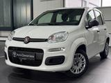Fiat Panda Easy | KLIMA | ELEKT-FENSTER | DAB | - gebrauchte Fiat Panda aus dem Jahr 2020