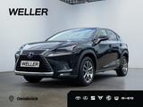 Lexus NX 300h E-FOUR Executive Line *LED*Leder*ACC*Pan - Lexus NX 300: H