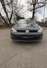 Volkswagen Golf 1.6 TDI BlueMotion Variant - Volkswagen: Bluemotion