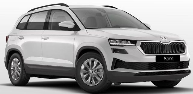 Skoda Karoq Sondermodell 130 Jahre LAGERND KURZFRIS...