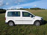 Volkswagen Caddy 1,2TSI 62kW BMT Trendline 5-Sitzer Tre... - VW Caddy von privat