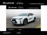 Lexus UX 250h Style Edition /ACC/FLA/ParkAss./SHZ/LM - Lexus aus 2023