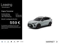 Cupra Terramar - Vorschau Bild 1