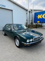 Jaguar XJ40 4.0 - Schaltgetriebe  Sehr Se... - Jaguar XJ40 von privat