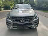 Mercedes-Benz ML 350 AMG-Line Super optik Top Ausstattung - Mercedes-Benz Ml
