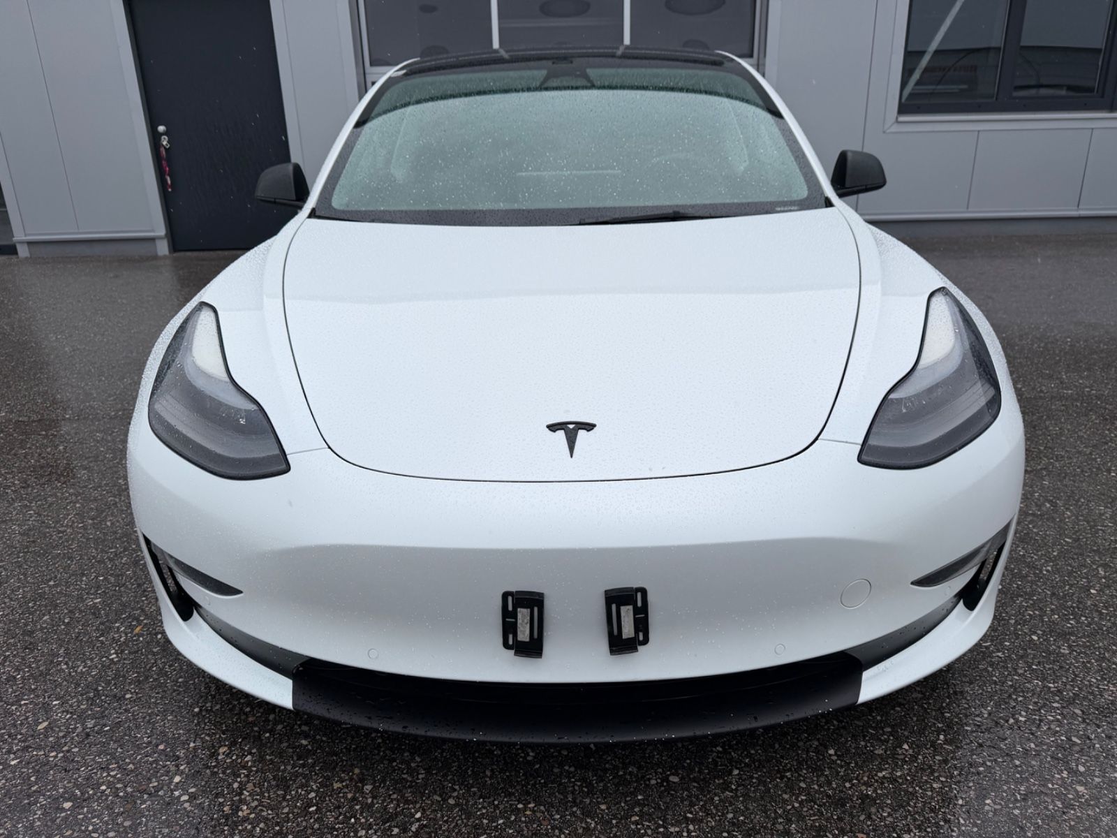 Tesla Model 3 Performance Dual AWD imagem 2