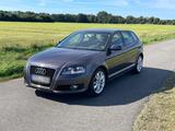 Audi A3 Sportback 1.6 TDI AHK Klima SHZ Temp - Audi A3 aus 2012 mit Diesel-Antrieb: Kombi