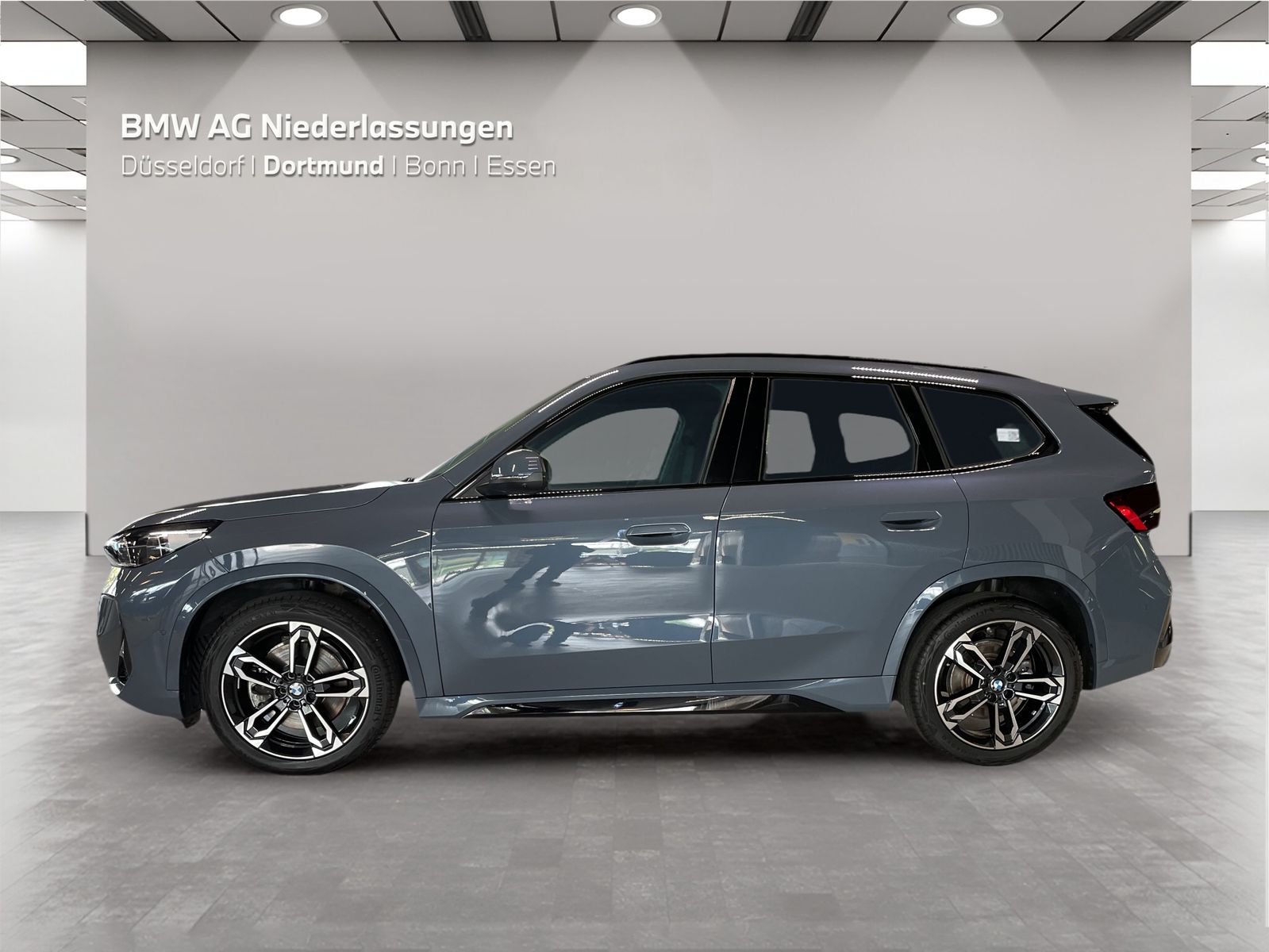 BMW X1 xDrive23d M Sport AHK Driv.Assist.Prof LED foto 5