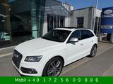 Audi SQ5 3.0 TDI q 4x4 Bi-Xenon Kamera Pano B&O AHK - gebrauchte Audi SQ5 aus dem Jahr 2014