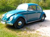Volkswagen Käfer  1200 Export Modell - gebrauchte Volkswagen Käfer aus dem Jahr 1965