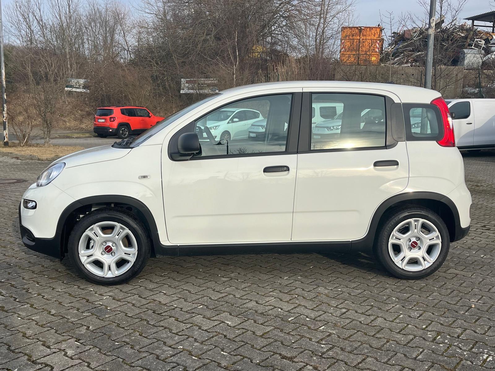 Fiat Panda Base / Radio, Bluetooth, Klima, elektr. FH