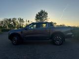 Ford Ranger Platinum 3.0 e-AWD, Hohlraum, Unterboden  - Ford Ranger Platinum Gebrauchtwagen