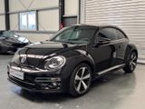 Volkswagen Beetle Sound BMT/Navi/Tempomat/13.500 KM/1.Hand - Volkswagen Beetle in Köln