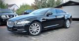 Jaguar XJ Premium Luxury 3.0 V6 Diesel Pano Xenon ACC - Jaguar Gebrauchtwagen von 2011