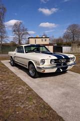 Ford Mustang Fastback 2+2 GT350 Shelby Tribute 5 Gang - Ford Mustang: Shelby Gt350