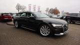 Audi A6 Allroad quattro 55 TDI  LED-PANO-4xSHZ-AHK - gebrauchte Audi A6 Allroad aus dem Jahr 2019