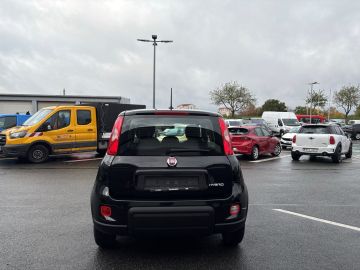 Bild 4 Fiat Panda Base 1.0 Mild Hybrid DAB Klima teilb.Rücks