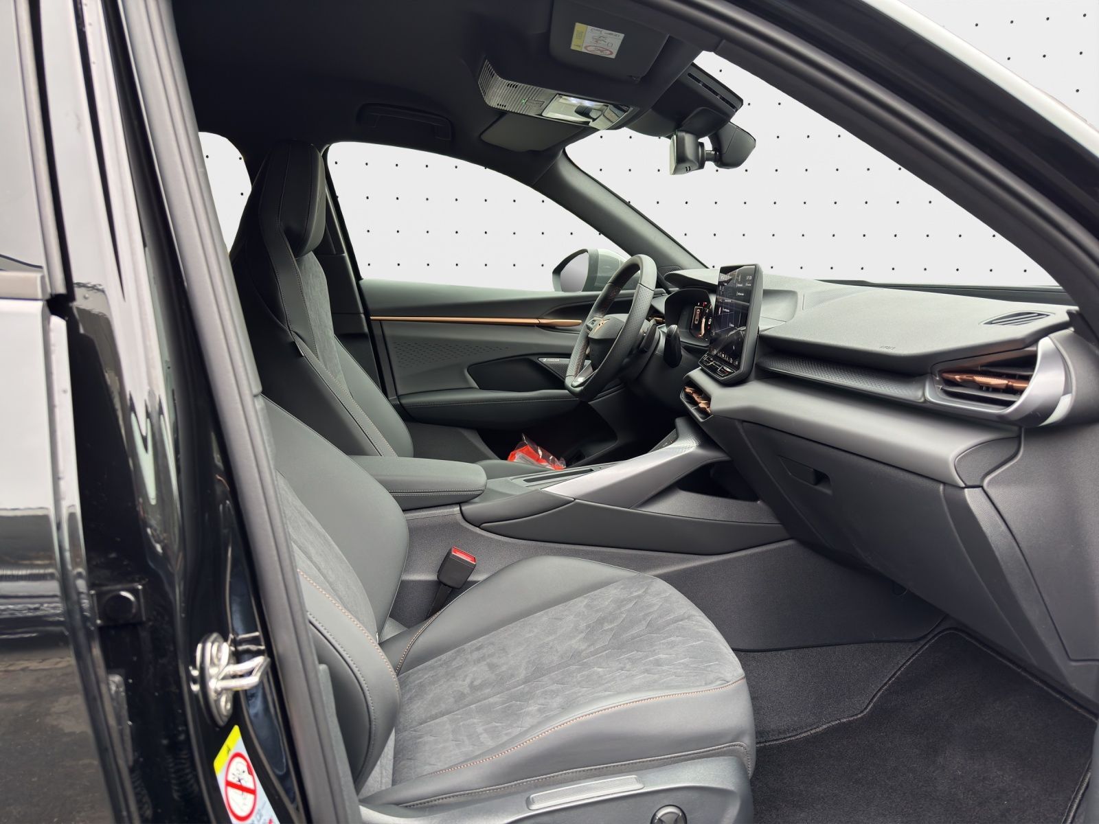 Cupra Terramar - Bild 4