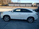 Lexus RX 450 450h Hybrid 249ps von 2011 - weiße Lexus RX 450