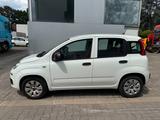 Fiat Panda Pop - Fiat Panda Gebrauchtwagen in Mülheim (Ruhr)