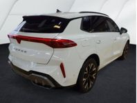 Cupra Terramar - Vorschau Bild 2