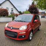 Fiat fiat panda klimaanlage - Fiat Panda Gebrauchtwagen in Düsseldorf