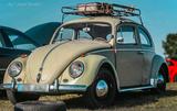 Volkswagen VW kafer. Patina - VW Gebrauchtwagen von 1960