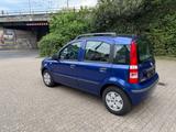 Fiat Panda 1.2 8V Dynamic - gebrauchte Fiat Panda aus dem Jahr 2008