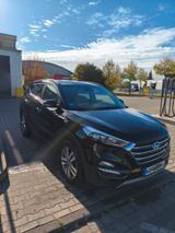 Hyundai TUCSON blue 1.7 CRDi DCT Trend 2WD Trend - Hyundai TUCSON Gebrauchtwagen in Münster