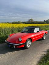 Alfa Romeo Spider 2.0 126 PS Typ 115 - Alfa Romeo Gebrauchtwagen von 1985