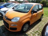 Fiat Panda 1.2 Easy - Fiat Panda: Kombi