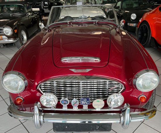 Austin Healey Andere