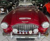 Austin Healey 100-six BN4 Roadster im Topzustand - Austin Healey: Bn1