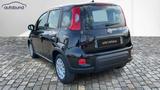 Fiat Panda 1,0  Hybrid (MHEV) Pandina Base NBA PDC SH - Fiat Panda Gebrauchtwagen in Berlin