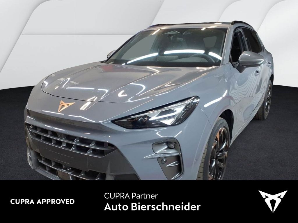 Cupra Terramar - Bild 1