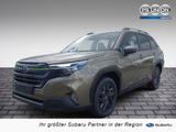 Subaru Forester AWD Edition Exclusive Cross LED 360° - Subaru Forester EDITION-EXCLUSIVE-CROSS