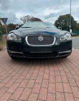 Jaguar Jaquar XF 2.7 V6 Diesel Premium Luxury - Jaguar XF aus 2008