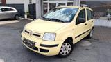 Fiat Panda 1.2 8V Dynamic*1.HD*Klima*Top Fhz! - Fiat Panda Gebrauchtwagen in Dortmund