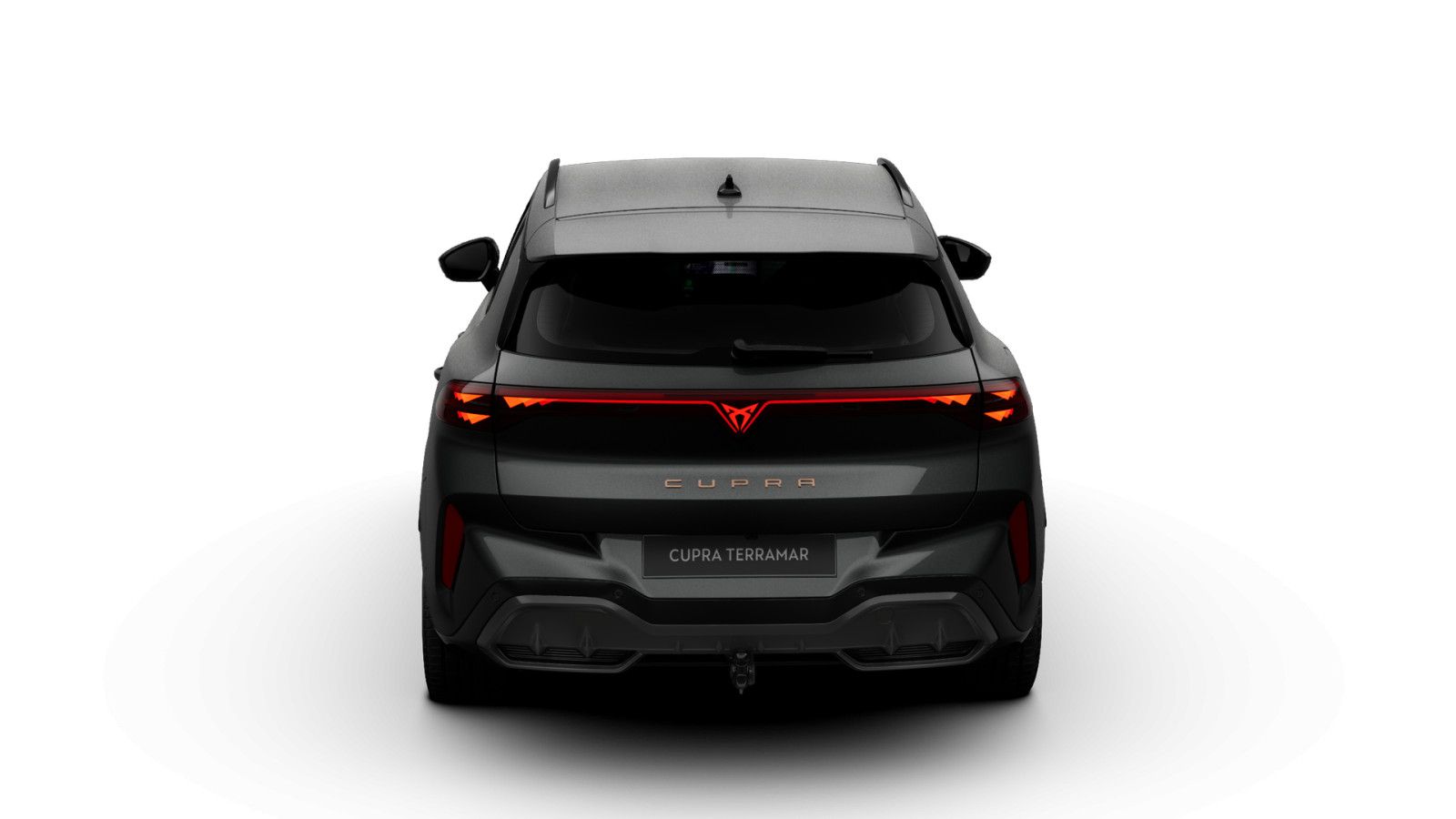 Cupra Terramar - Bild 6