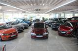 Opel Vectra 1.6 16V - rote Opel Vectra