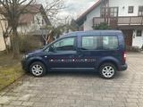 Volkswagen Caddy 1,2TSI 63kW Roncalli 5-Sitze Roncalli - Volkswagen Caddy mit Benzin-Antrieb: Kombi, 1.6
