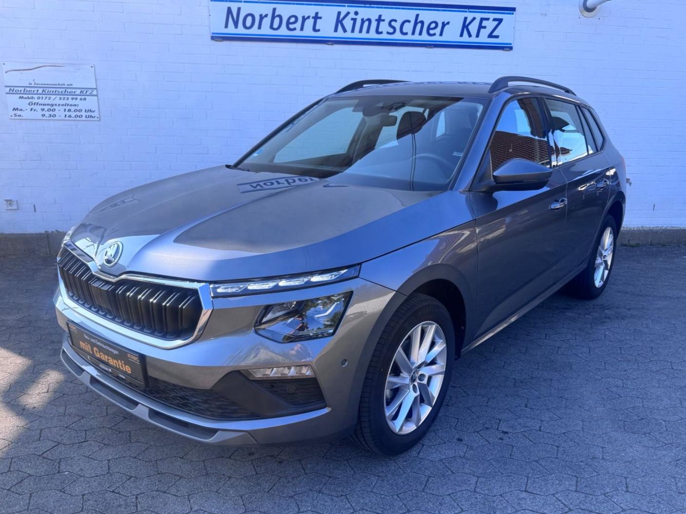 Skoda Kamiq Selection DSG ACC Matrix Virtual Navi RFK