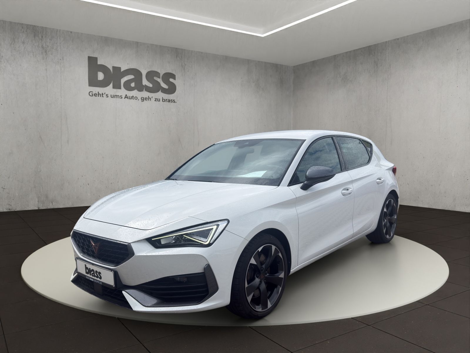 Cupra Leon VZ Navi, Ledermultifunktionslenkrad + Heizu