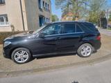 Mercedes-Benz Mercedes Benz ML350 Bluetec - EURO 6 - Mercedes-Benz ML 350 in Essen