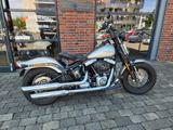 Harley-Davidson Cross Bones Softail Springer - Motorräder in Bielefeld
