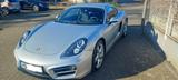 Porsche Cayman 2.7 Modell 981, 6 Zylinder, NEUZUSTD.! - Porsche Cayman: 2.9