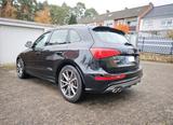 Audi SQ5 3.0 TDI tiptronic quattro - - Audi SQ5 in Bielefeld