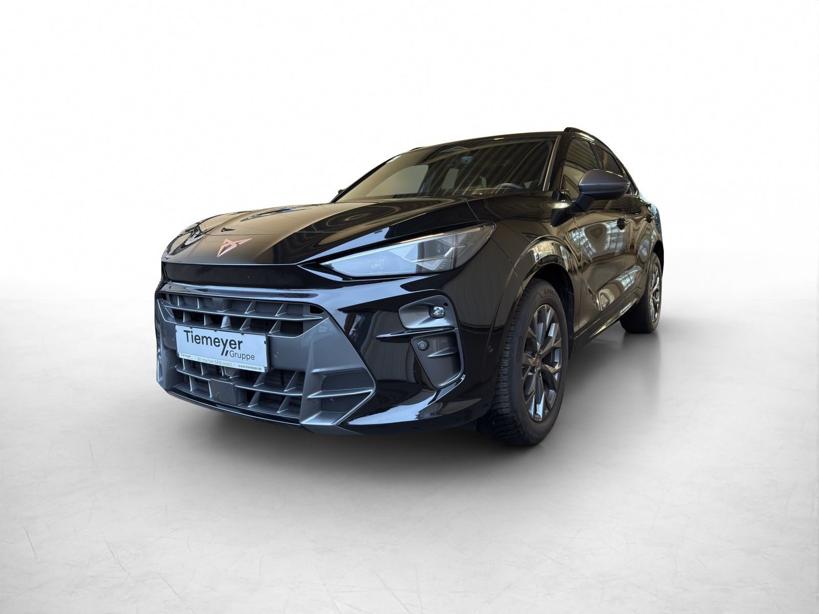 Cupra Terramar - Bild 2