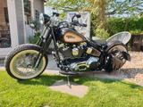 Harley-Davidson FXSTS Springer - HARLEY-DAVIDSON FXSTS